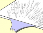 \Ͻ(dng)ȱݵJ(rn)R(sh)Ϳƣ130 (1648)